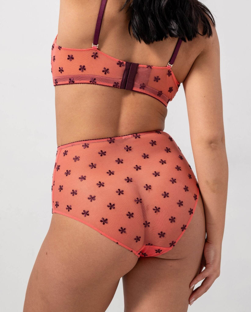 Mesh Highwaist Briefs Coral Cherry