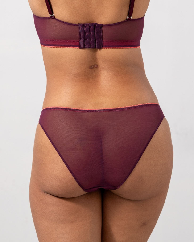 Mesh Bikini Briefs Cherry Coral