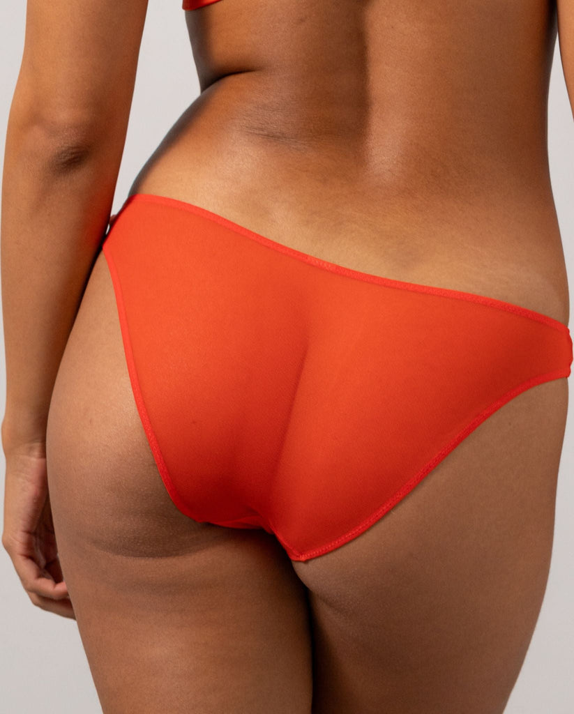 Mesh Bikini Briefs Fiery